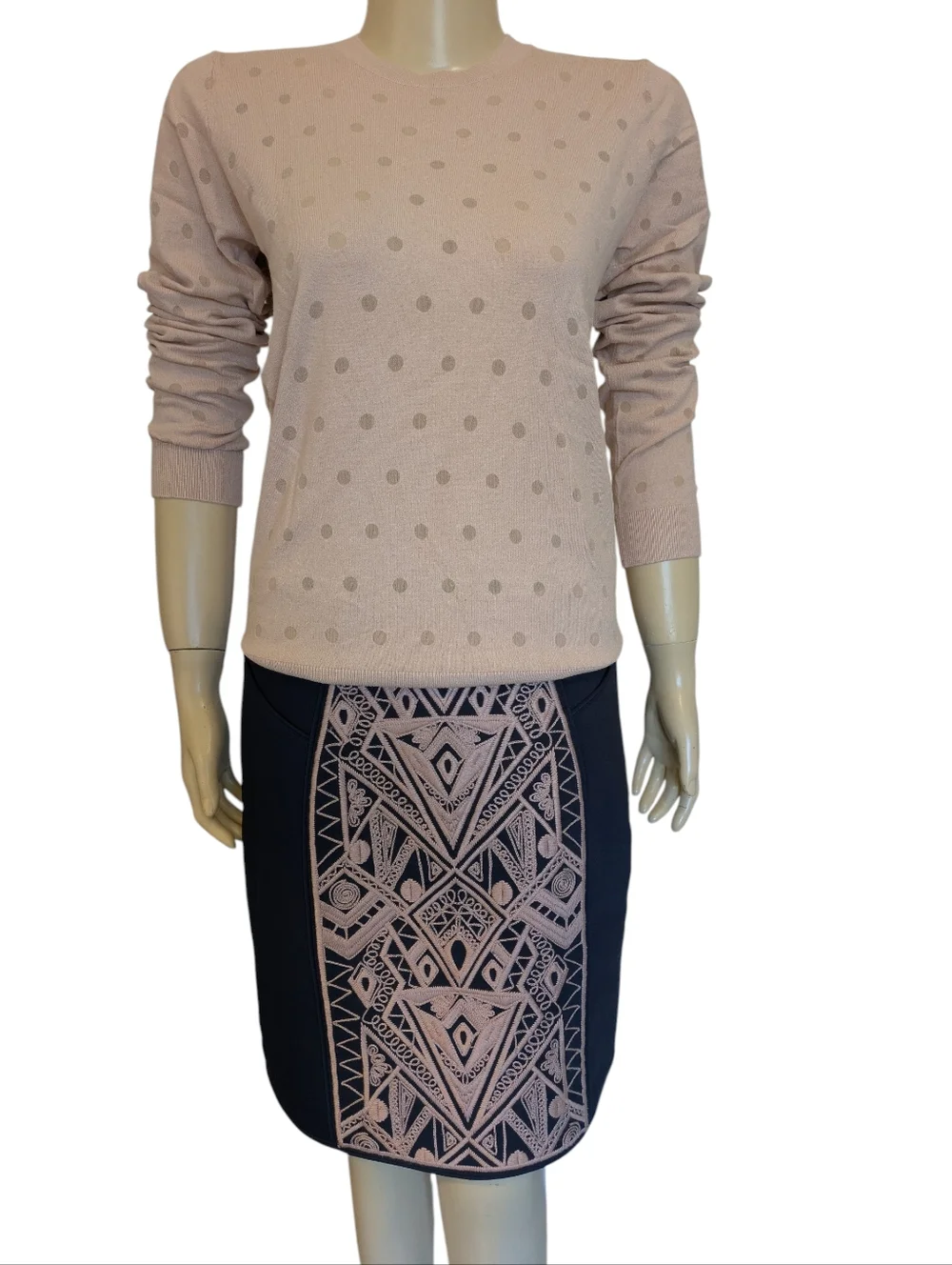 Tibi Pencil Skirt with Blush Embroidered Panel, ASO Serena Van Der Woodsen NWOT - Picture 8 of 16